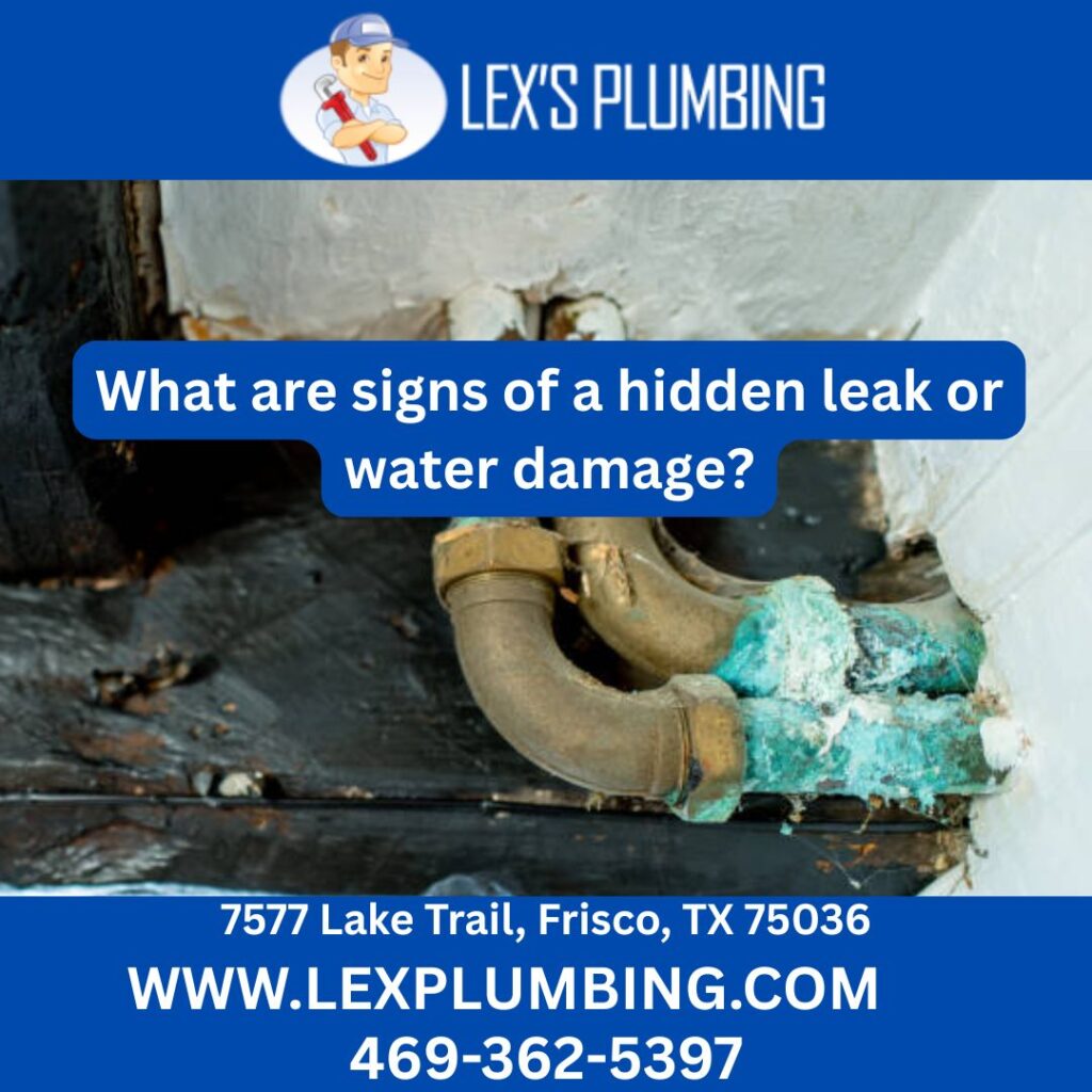 What are signs of a hidden leak or water damage?