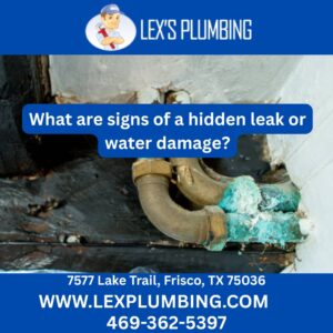 What are signs of a hidden leak or water damage?