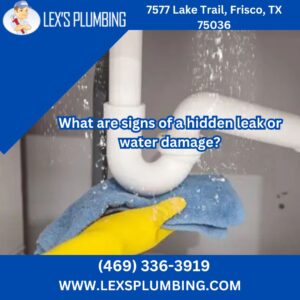 What are signs of a hidden leak or water damage?