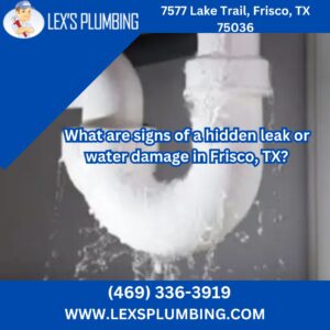 What are signs of a hidden leak or water damage in Frisco, TX?