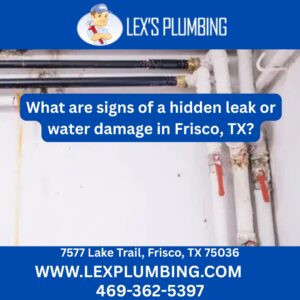 What are signs of a hidden leak or water damage in Frisco, TX?