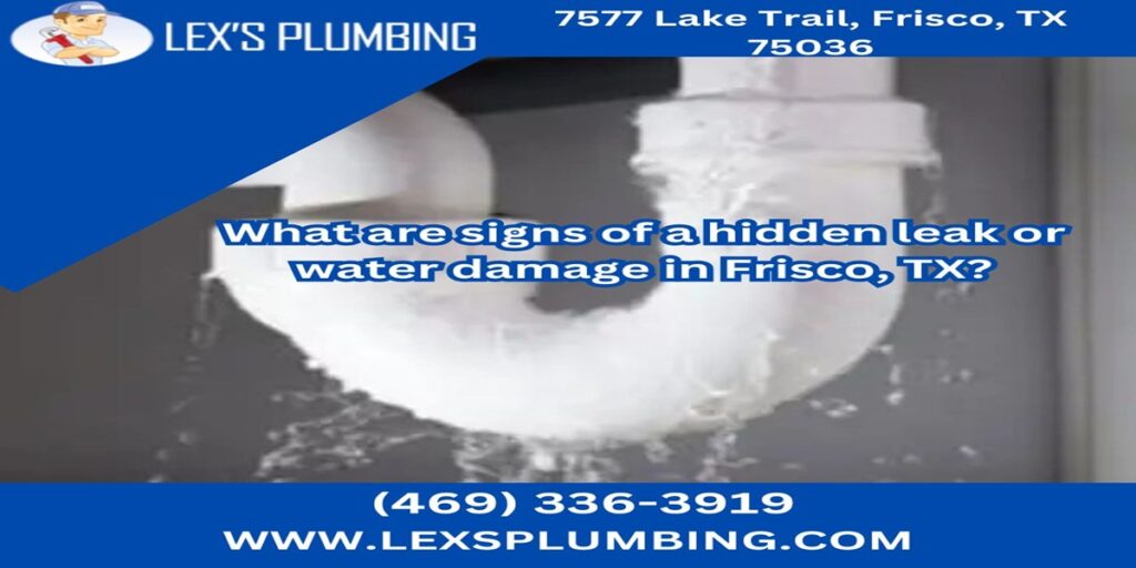 What are signs of a hidden leak or water damage in Frisco, TX?