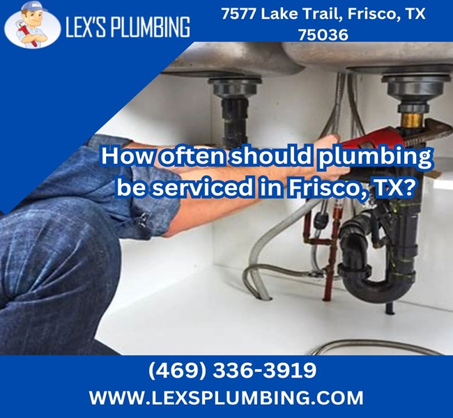 How often should plumbing be serviced in Frisco, TX?