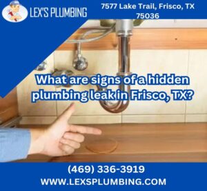 What are signs of a hidden plumbing leak in Frisco, TX?